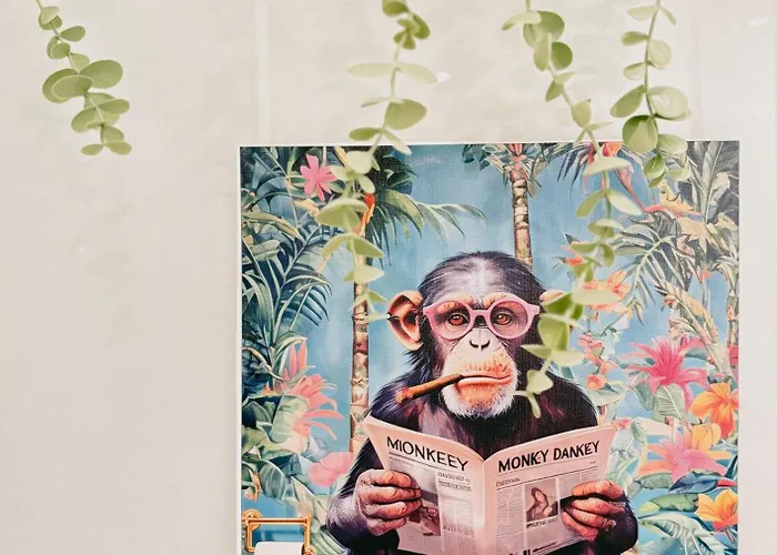 Vina Coqueta Grupo Ac Gestion * Cádiz