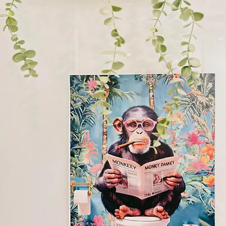 Vina Coqueta Grupo Ac Gestion * كاديز